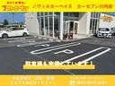TOYOTA LAND CRUISER 250