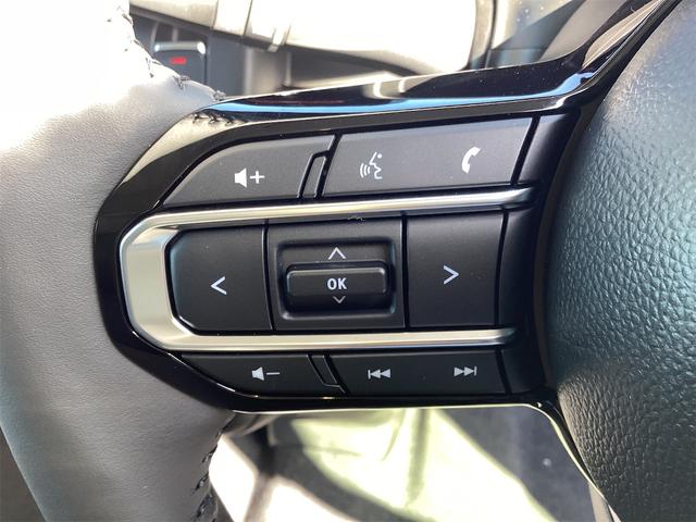 スペーシアカスタム ハイブリッドXS 全周囲カメラ 両側電動スライドドア ナビ TV クリアランスソナー オートクルーズコントロール レーンアシスト オートライト スマートキー アイドリングストップ 電動格納ミラー シートヒーター(61枚目)