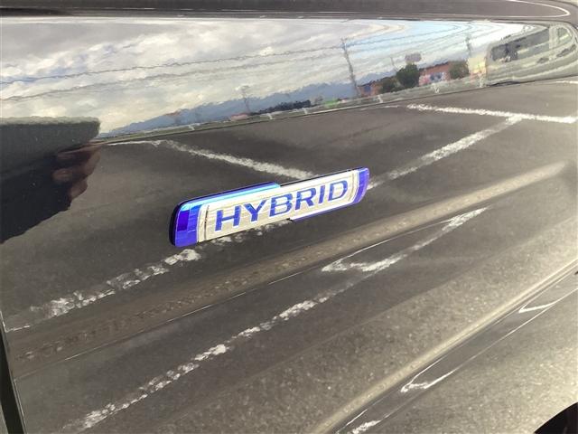 ���������܂��Đ��ɗL��������܂��I�I���񂲗��X���Ē����A���ۂɂ����ɂȂ��Ē�����΂Ǝv���܂��B���q�l����̂��A�����X�^�b�t�ꓯ�A�S��肨�҂����Ă���܂�