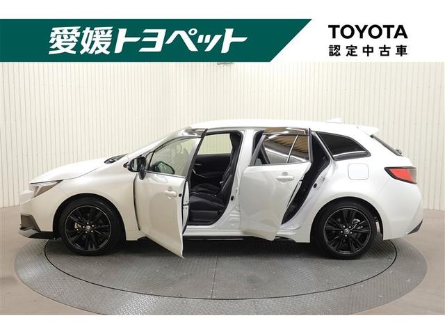 �S�v�c�ŎR����ᓹ�����S��