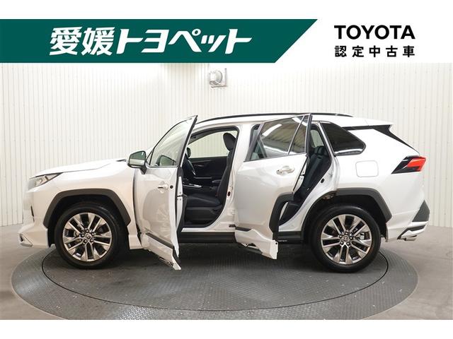 ＲＡＶ４ Ｇ　Ｚパッケージ　４ＷＤ　フルセグ　メモリーナビ　バックカメラ　衝突被害軽減システム　ＥＴＣ　ドラレコ　ＬＥＤヘッドランプ　フルエアロ　記録簿（3枚目）