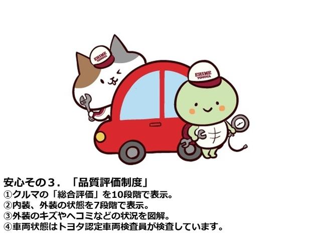 TX Lパッケージ バックモニター メモリーナビ 本革シート(24枚目)