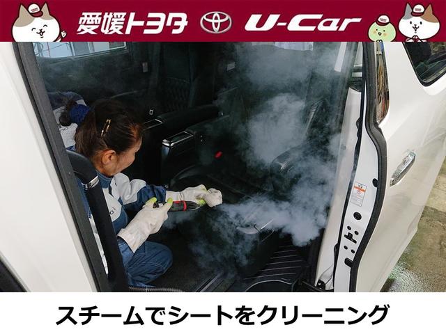 TX Lパッケージ バックモニター メモリーナビ 本革シート(32枚目)