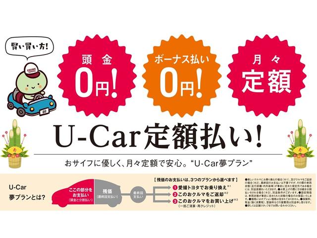 TX Lパッケージ バックモニター メモリーナビ 本革シート(40枚目)