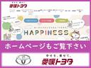 ２．５Ｓ　タイプゴールド　サンルーフ　フルセグ　メモリーナビ　ＤＶＤ再生　後席モニター　バックカメラ　衝突被害軽減システム　ＥＴＣ　両側電動スライド　ＬＥＤヘッドランプ　乗車定員７人　３列シート　フルエアロ　記録簿（55枚目）