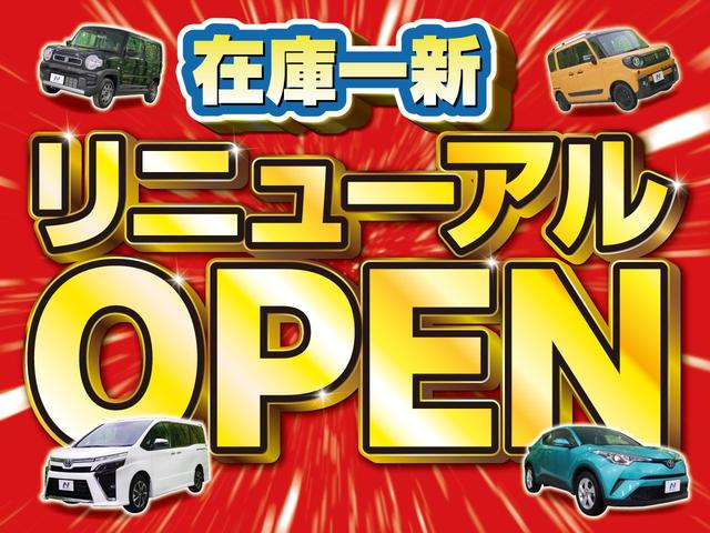G・Aパッケージ 衝突軽減装置 SDナビ クルコン スマートキー スマートキー バックカメラ オートエアコン ハーフレザー 純正14アルミ フォグ ウインカーミラー 横滑り防止装置 オートライト ステアリングスイッチ(3枚目)