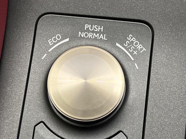 ＲＣ ＲＣ３００ｈ　Ｆスポーツ　３眼ＬＥＤ　ブラインドスポット　純正ＳＤナビ　バックカメラ　衝突被害軽減システム　レーダークルーズ　禁煙車　レザーシート　前席シートエアコン　ドラレコ　コーナーセンサー　スマートキー（59枚目）