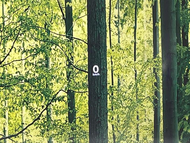 MAZDA3ファストバック 15Sツーリング 純正SDナビ 全周囲カメラ 衝突被害軽減システム レーダークルーズ 禁煙車 コーナーセンサー スマートキー LEDヘッド ビルトインETC オートハイビーム 車線逸脱警報 オートライト(34枚目)