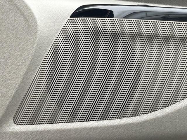 デイズルークス X 純正SDナビ アラウンドビューモニター ETC スマートキー 電動スライドドア(29枚目)