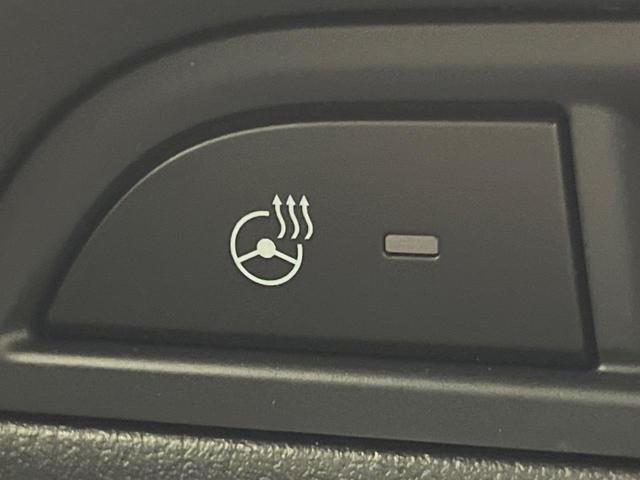 ＣＸ－５ ２５Ｔ　Ｌパッケージ　ターボ　マツダコネクトナビ　ＢＯＳＥサウンドシステム　全周囲カメラ　衝突軽減装置　ブラインドスポットモニター　レーダークルーズコントロール　ＥＴＣ　パワーバックドア（62枚目）