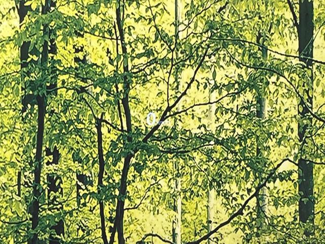 ＣＸ－５ ２５Ｔ　Ｌパッケージ　ターボ　マツダコネクトナビ　ＢＯＳＥサウンドシステム　全周囲カメラ　衝突軽減装置　ブラインドスポットモニター　レーダークルーズコントロール　ＥＴＣ　パワーバックドア（64枚目）