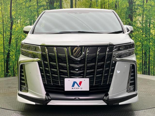 アルファード 2.5S タイプゴールド TRDフルエアロ JBLサウンド 禁煙車 純正10型ナビ フリップダウンモニター ブラインドスポットモニター パノラミックビューモニター レーダークルーズコントロール パワーバックドア ETC(15枚目)
