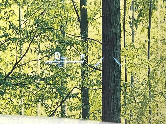 ハリアー Z 純正12.3インチナビ 全周囲カメラ 衝突被害軽減装置 レーダークルーズ 禁煙車 ハーフレザーシート ドラレコ コーナーセンサー スマートキー LEDヘッド ビルドインETC(35枚目)