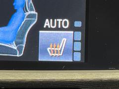 �ڥ����ȥҡ������۴������˽������륷���ȥҡ������������������᤯���ޤäƤ����ΤǴ�����οͤ�¿��Ǥ��͢���������β����ϴ��礹�뤫���ꡢ�Ȥ������ˤ�򤪤�����Ǥ��� 5