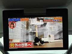 Σ˻á˰¤Ǥ֤Ƥޤ¾Һ߸ˤӲޤ 3