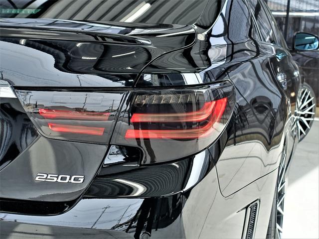 250G Sパッケージリラックスセレクション 新品車高調・新品19AW・新品タイヤ・新品シートカバー・パドルシフト・リアスポ・Cセンサ・新品シーケンシャルヘッド・新品スモークテール・流ウィンカ・純ナビ・Bluetooth・フルセグ・Bカメ・ETC(42枚目)