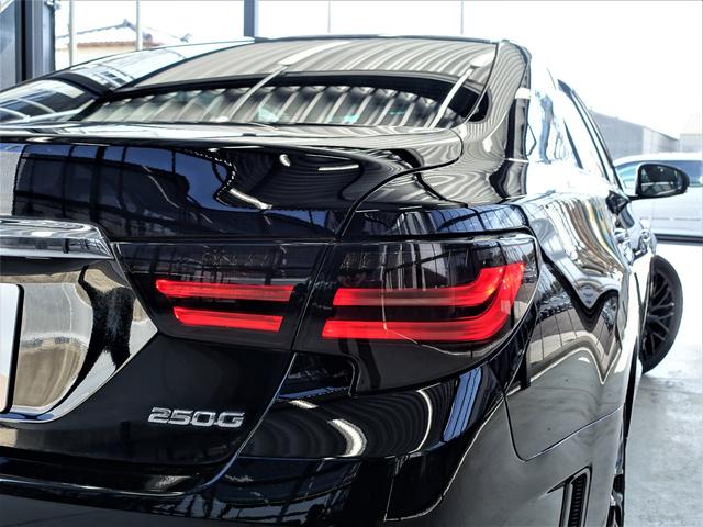 250G リラックスセレクション・ブラックリミテッド 新品タナベ車高調・19インチアルミホイール・新品シートカバー・新品シーケンシャルヘッド・新品LEDファイバーテール・流れるウィンカ・純正ナビ・HDD・TV・CD/DVD・バックカメラ・ビルトインETC(38枚目)