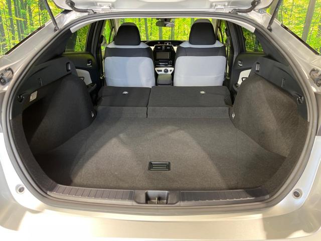 S トヨタセーフティサポート 純正ナビ バックカメラ レーダークルーズコントロール ステアリングスイッチ 車線逸脱警報 ETC スマートキー プッシュスタート オートハイビーム LEDヘッドライト(56枚目)