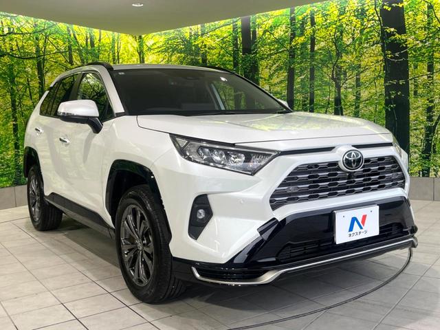 ＲＡＶ４ Ｇ　パノラミックビュー　セーフティセンス　禁煙車　ナビ機能付ディスプレイオーディオ　シートベンチレーション　デジタルインナーミラー　スマートキー　ＬＥＤヘッド　パワーバックドア　レーダークルーズ　ＥＴＣ（17枚目）