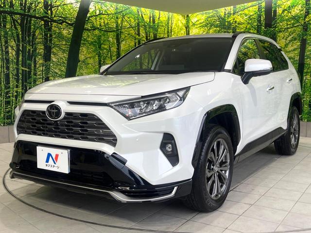 ＲＡＶ４ Ｇ　パノラミックビュー　セーフティセンス　禁煙車　ナビ機能付ディスプレイオーディオ　シートベンチレーション　デジタルインナーミラー　スマートキー　ＬＥＤヘッド　パワーバックドア　レーダークルーズ　ＥＴＣ（55枚目）