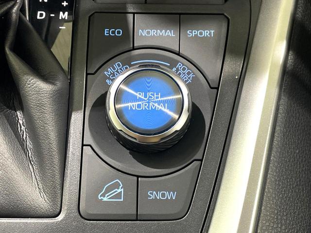 ＲＡＶ４ アドベンチャー　オフロードパッケージ　禁煙車　４ＷＤ　ナビ付ディスプレイオーディオ　全方位カメラ　シートヒーター／ベンチレーション　デジタルインナーミラー　ブラインドスポットモニター　パワーバックドア　レーダークルーズ（33枚目）