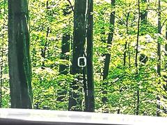 ڥإåɥåץǥץ쥤۸ߤ®٤ԾǥɽǱžΥ饹ơž桢򤺤餵ɬפʾǧǤΤǤȤäƤǰ¿ 5