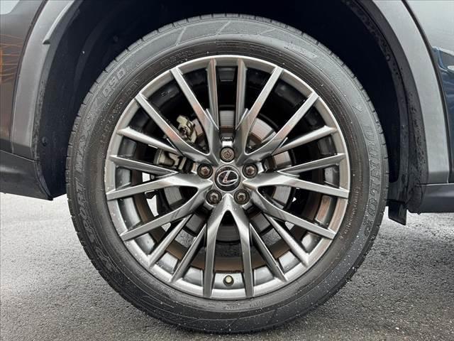 ＲＸ ＲＸ３００　Ｆスポーツ　後期　パノラマルーフ　ルーフレール　アダプティブハイビーム　純正ナビ　全周囲モニター　フルセグＴＶ　ＢＴ　レザーシート　ベンチレーション　ステアヒーター　ＨＵＤ　ＥＴＣ　ＢＳＭ　Ｐバックドア（37枚目）