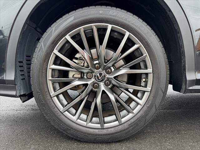 ＲＸ ＲＸ３００　Ｆスポーツ　後期　パノラマルーフ　ルーフレール　アダプティブハイビーム　純正ナビ　全周囲モニター　フルセグＴＶ　ＢＴ　レザーシート　ベンチレーション　ステアヒーター　ＨＵＤ　ＥＴＣ　ＢＳＭ　Ｐバックドア（41枚目）