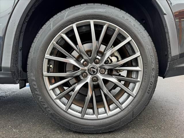 ＲＸ ＲＸ３００　Ｆスポーツ　後期　パノラマルーフ　ルーフレール　アダプティブハイビーム　純正ナビ　全周囲モニター　フルセグＴＶ　ＢＴ　レザーシート　ベンチレーション　ステアヒーター　ＨＵＤ　ＥＴＣ　ＢＳＭ　Ｐバックドア（43枚目）