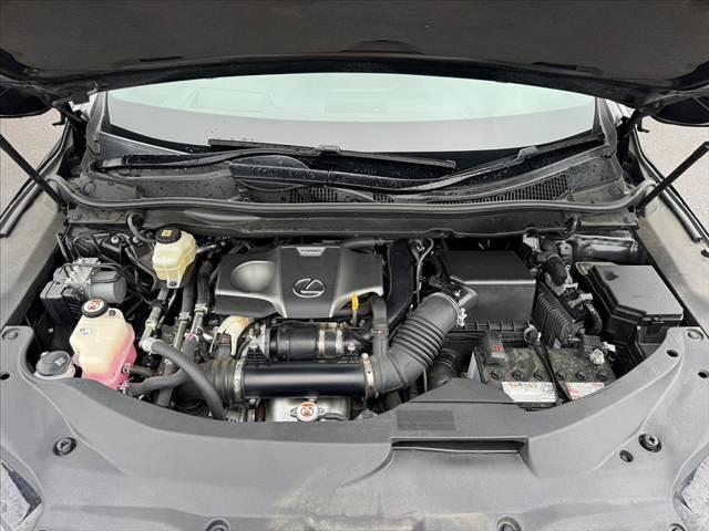 ＲＸ ＲＸ３００　Ｆスポーツ　後期　パノラマルーフ　ルーフレール　アダプティブハイビーム　純正ナビ　全周囲モニター　フルセグＴＶ　ＢＴ　レザーシート　ベンチレーション　ステアヒーター　ＨＵＤ　ＥＴＣ　ＢＳＭ　Ｐバックドア（48枚目）