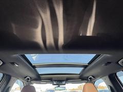 Σ˻á˰¤Ǥ֤Ƥޤ¾Һ߸ˤӲޤ 3