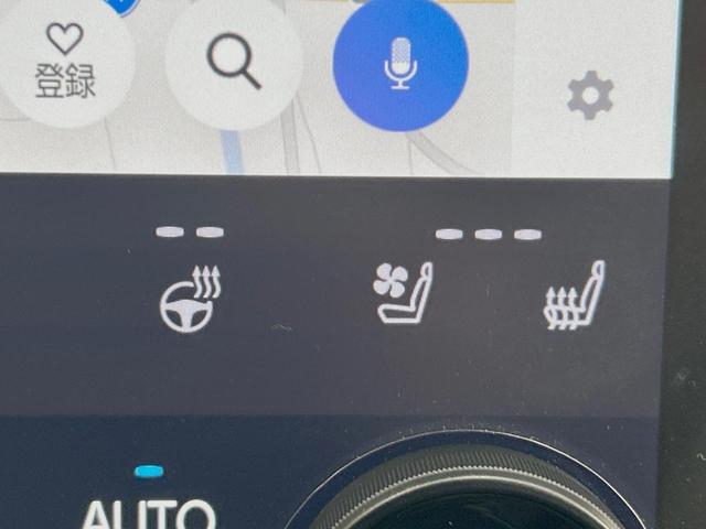 アルファード Z 左右独立ムーンルーフ プリクラッシュセーフティ 両側電動ドア 純正14型ディスプレイオーディオ 13.2型後席モニター 全周囲カメラ レーダークルーズ 禁煙車 レザー調シート シートエアコン ETC(36枚目)