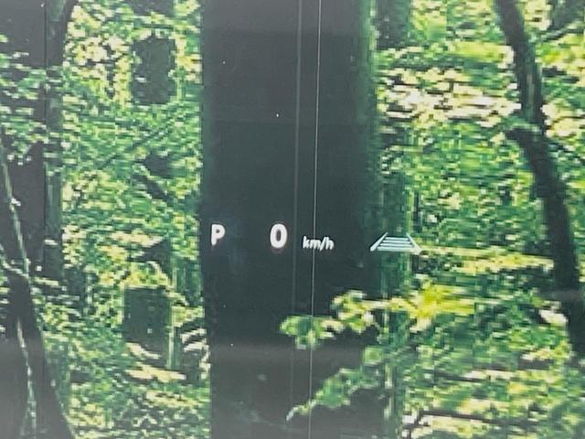 アルファード Z 左右独立ムーンルーフ プリクラッシュセーフティ 両側電動ドア 純正14型ディスプレイオーディオ 13.2型後席モニター 全周囲カメラ レーダークルーズ 禁煙車 レザー調シート シートエアコン ETC(51枚目)