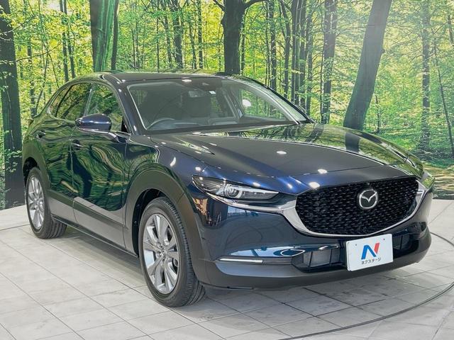 CX-30 20S プロアクティブ ツーリングセレクション 禁煙車 8.8型マツダコネクトナビ 全周囲カメラ i-ACTIVESENSE レーダークルーズ 電動リアゲート ブラインドスポットモニター パワーシート ドラレコ コーナーセンサー スマートキー(16枚目)