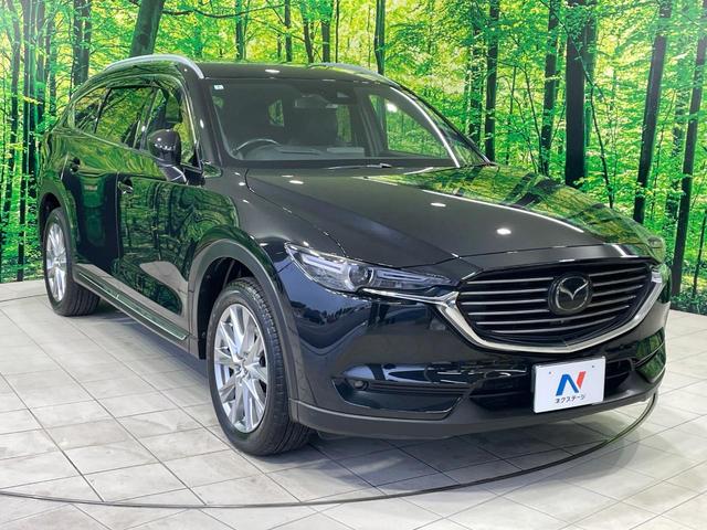 ＣＸ－８ ＸＤ　Ｌパッケージ　禁煙車　メーカーナビ　後席モニター　ＢＯＳＥ　ルーフレール　衝突軽減　レーダークルーズ　茶革　パワーシート　シートヒーター　シートメモリー　ステアリングヒーター　電動リア　クリアランスソナー　ＥＴＣ（23枚目）