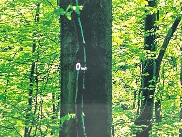 CX-5 25S Lパッケージ 禁煙車 BOSE メーカーナビ 衝突軽減 レーダークルーズ BSM 白革 パワーシート シートメモリー シートヒーター ステアリングヒーター 電動リア クリアランスソナー LEDヘッド バックカメラ(7枚目)