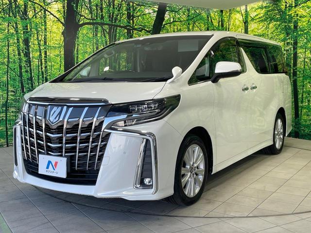 アルファード ２．５Ｓ　禁煙車　１１型ＢＩＧＸ　後席モニター　デジタルインナー　セーフティセンス　レーダークルーズ　両側電動ドア　クリアランスソナー　ＬＥＤヘッド　バックカメラ　ＥＴＣ　純正１８インチＡＷ　スマートキー（24枚目）