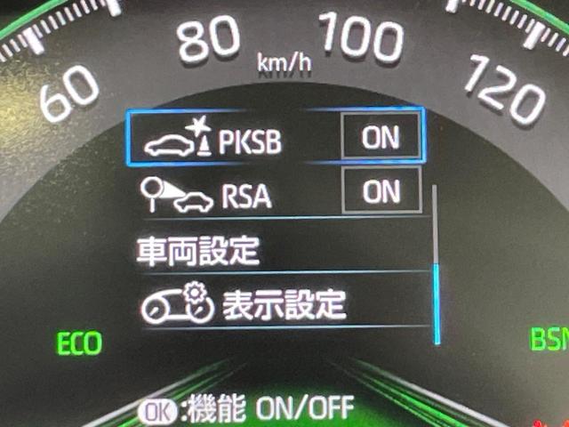 ＲＡＶ４ ハイブリッドＧ　４ＷＤ　禁煙車　サンルーフ　ルーフレール　ディスプレイオーディオ　全周囲カメラ　ＢＳＭ　衝突軽減　レーダークルーズ　合皮レザー　パワーシート　シートメモリー　シートヒーター　ステアリングヒーター（70枚目）