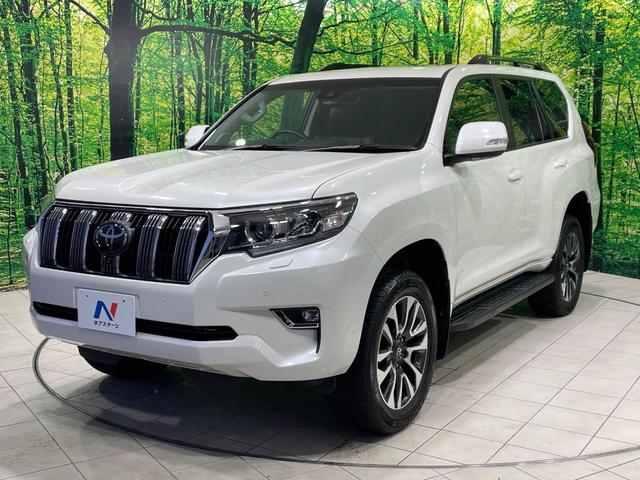 ランドクルーザープラド ＴＸ　Ｌパッケージ　サンルーフ　全周囲カメラ　衝突被害軽減システム　レーダークルーズ　禁煙車　レザーシート　前席シートエアコン　コーナーセンサー　スマートキー　ＬＥＤヘッド　ルーフレール　ＥＴＣ２．０（22枚目）