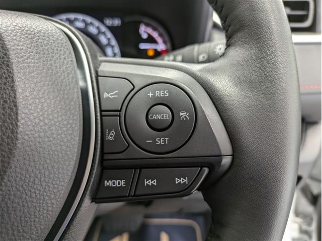ＲＡＶ４ アドベンチャー　オフロードパッケージ　４ＷＤ　メモリーナビ　ミュージックプレイヤー接続可　バックカメラ　衝突被害軽減システム　ＥＴＣ　ドラレコ　ＬＥＤヘッドランプ　ワンオーナー　記録簿（25枚目）