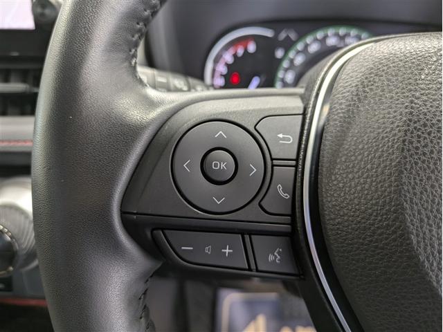 ＲＡＶ４ アドベンチャー　オフロードパッケージ　４ＷＤ　メモリーナビ　ミュージックプレイヤー接続可　バックカメラ　衝突被害軽減システム　ＥＴＣ　ドラレコ　ＬＥＤヘッドランプ　ワンオーナー　記録簿（24枚目）