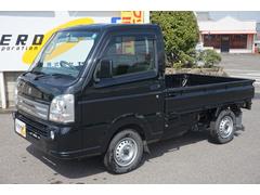 WEB限定カラー有 【新品】軽トラスズキ・キャリーのアオリ(黒)3BD