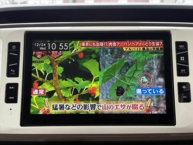 �̔��ԗ��Ȃǂ́A����̂܂܂̃R���f�B�V�����𐳒��Ɍ��J�����Ē����܂��B