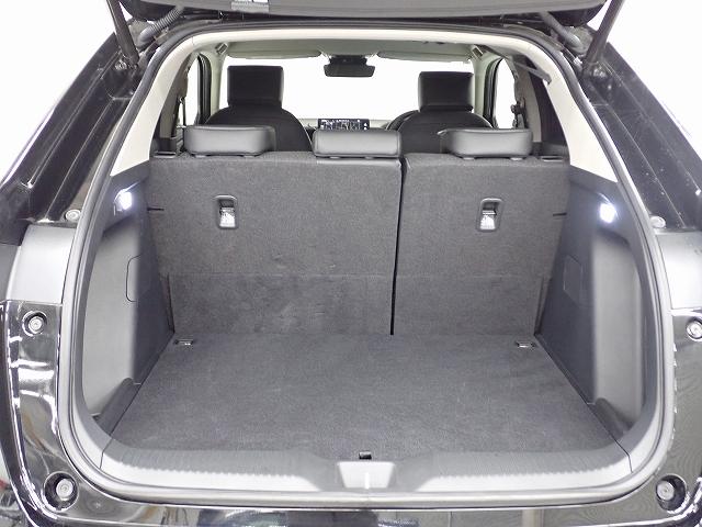 �t����Ԃł���������ו������[�o���郉�Q�b�W�X�y�[�X�ł��B���i�̔������ł����炵������ς߂�\���ȉ׎��X�y�[�X���m�ۂ��Ă��܂��B