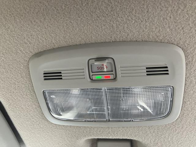 ���[�����C�g