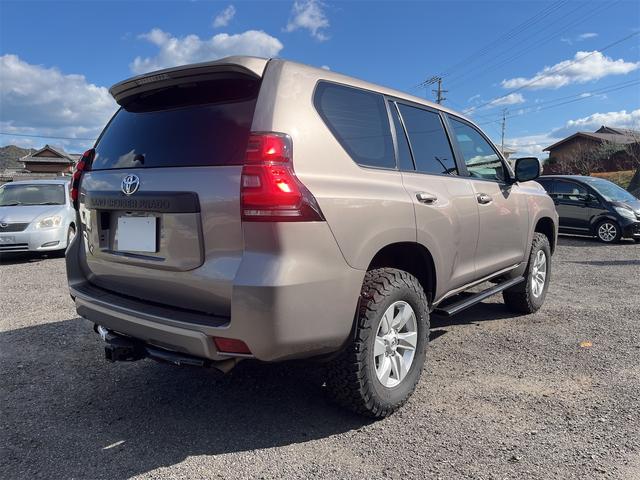 ランドクルーザープラド ＴＸ　ワンオーナー　　改良後ディーゼル　禁煙車　サンルーフ　ＥＴＣ　ナビ　　フルセグ　バックカメラ　サイドステップ　　ヒッチメンバー　　エアコン　パワステ（8枚目）