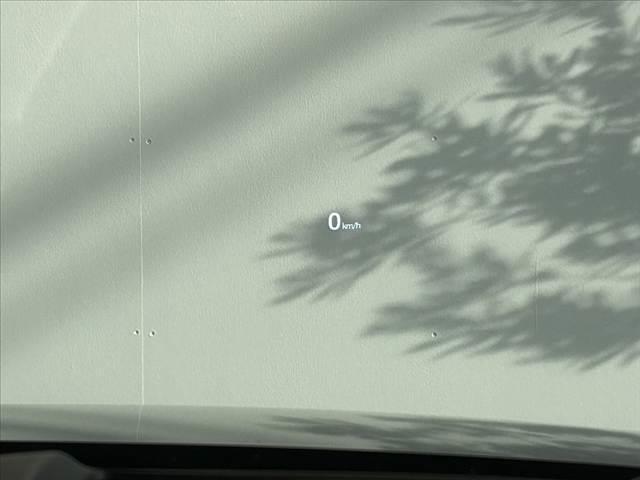 仕入れに特化したお店です。『予約制』とさせていただき、他のお客様を気にせずにおくつろぎ下さい。