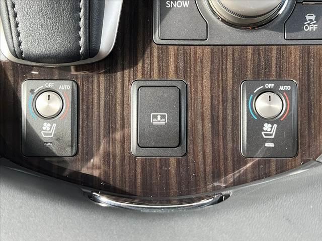 ＬＳ ＬＳ４６０　バージョンＣ　Ｉパッケージ　ＬＥＤヘッドライト　ムーンルーフ　純ナビ　ＢＳＭ　Ｂモニタ　レーダークルーズ　シートヒーター　シートクーラー　Ａライト　ＥＴＣ　フルセグ　ステアリングヒーター　ブレーキホールド　プリクラッシュセーフ（6枚目）