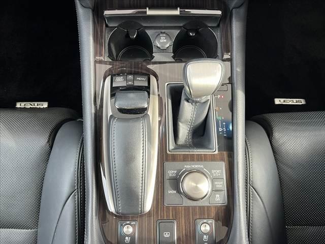 ＬＳ ＬＳ４６０　バージョンＣ　Ｉパッケージ　ＬＥＤヘッドライト　ムーンルーフ　純ナビ　ＢＳＭ　Ｂモニタ　レーダークルーズ　シートヒーター　シートクーラー　Ａライト　ＥＴＣ　フルセグ　ステアリングヒーター　ブレーキホールド　プリクラッシュセーフ（24枚目）