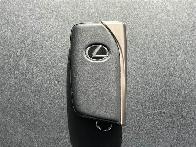 ＬＳ ＬＳ４６０　バージョンＣ　Ｉパッケージ　ＬＥＤヘッドライト　ムーンルーフ　純ナビ　ＢＳＭ　Ｂモニタ　レーダークルーズ　シートヒーター　シートクーラー　Ａライト　ＥＴＣ　フルセグ　ステアリングヒーター　ブレーキホールド　プリクラッシュセーフ（35枚目）